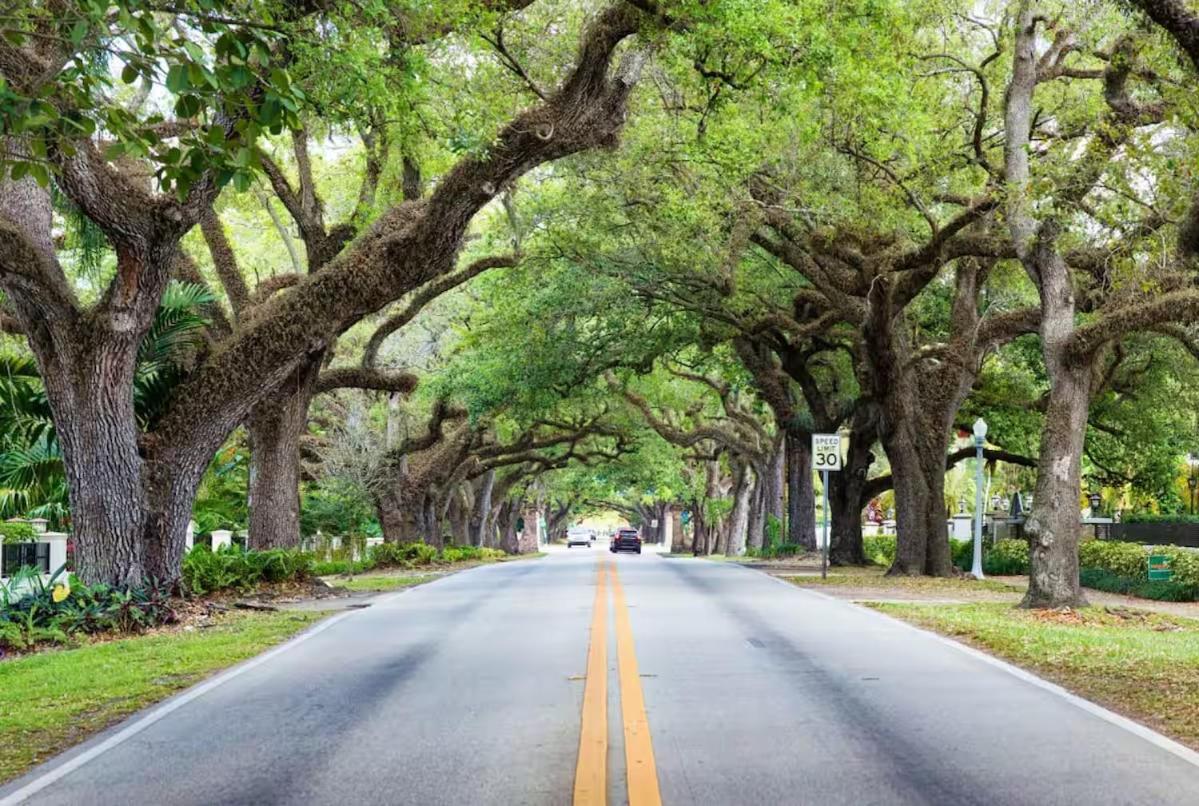 Casa Coral Hotel Coral Gables Luaran gambar